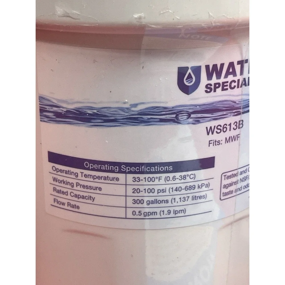Waterspecialist WS613B – GE MWF, SmartWater, MWFP Replacement Filters 2-Pack